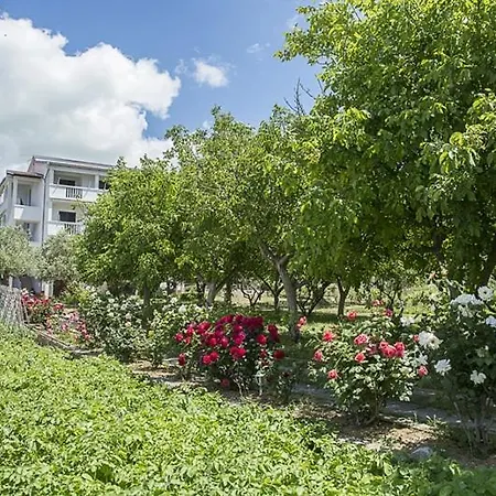 In With Sea View, Balcony, Air Conditioning, Wifi *